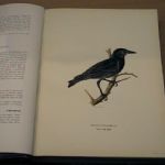 193 5057 Fågelböcker